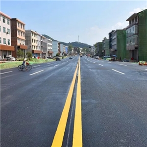 中铁四局涡阳至蒙城一级公路改建工程一标段-混凝土模块铺设